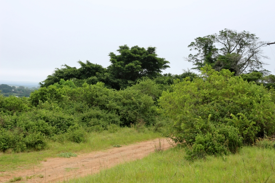0 Bedroom Property for Sale in Bathurst Eastern Cape